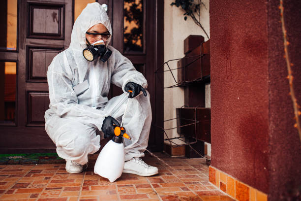 Reliable Ant Control contractor in Carolina Forest, SC by Show Me Pest Control